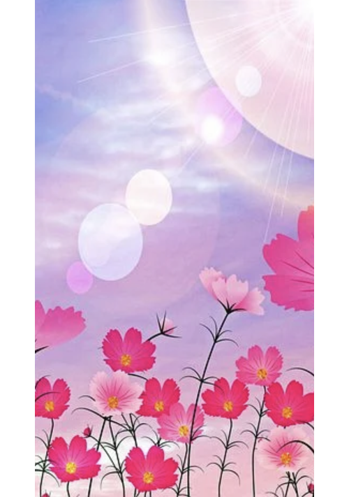 コントレイルとちぎれ雲