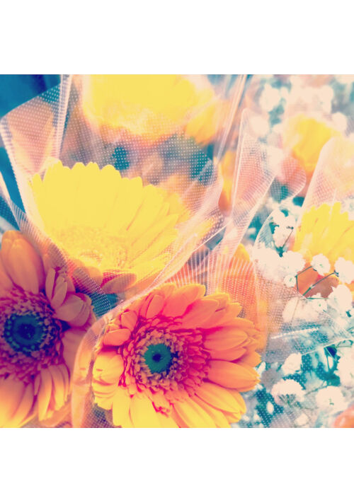 18禁ヘテロ恋愛短編集「色逢い色華」-4