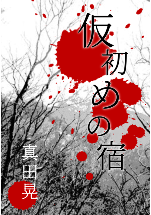 『仮初めの宿』（真田晃） 表紙