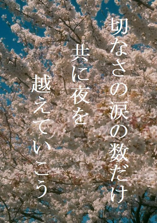 【BL】切なさの涙の数だけ、共に夜を越えていこう～契約結婚のススメ～