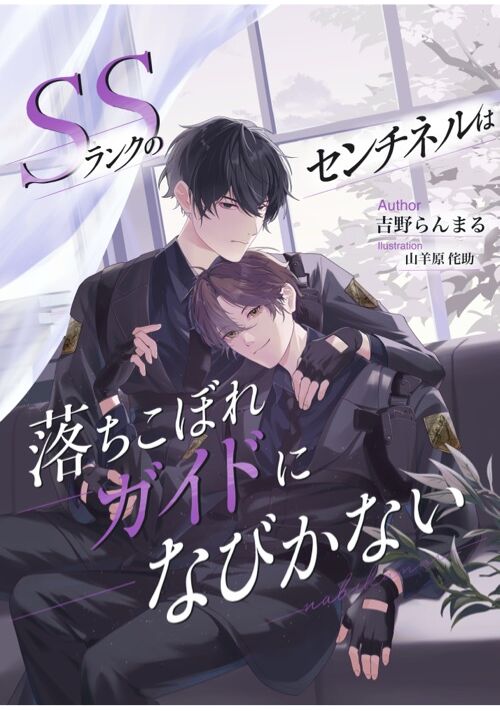 SSランクのセンチネルは落ちこぼれガイドになびかない