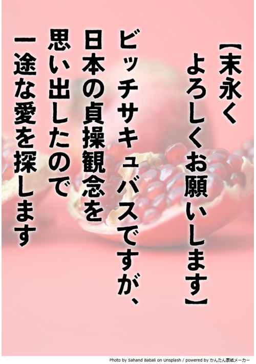末永くよろしくお願いします―ビッチサキュバスですが、日本の貞操観念を思い出したので一途な愛を探します―
