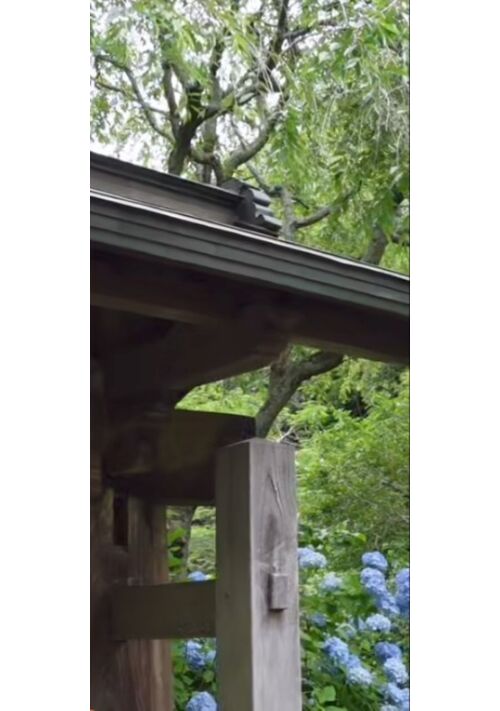 歩