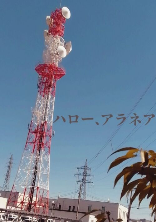 ハロー、アラネア