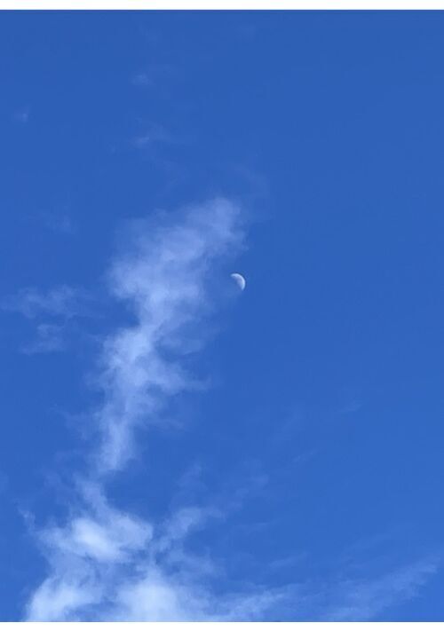 ショタ魔王と第三皇子