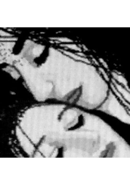 ピノ　可愛いがって……（五話完結）