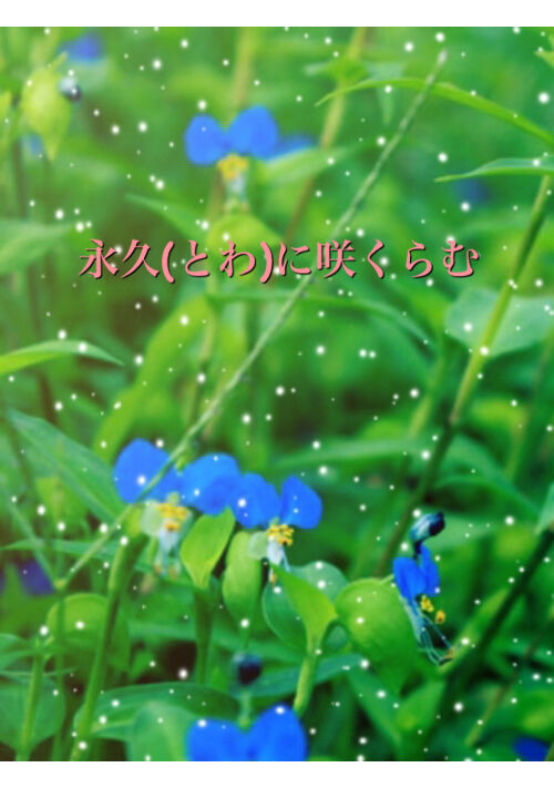 永久(とわ)に咲くらむ