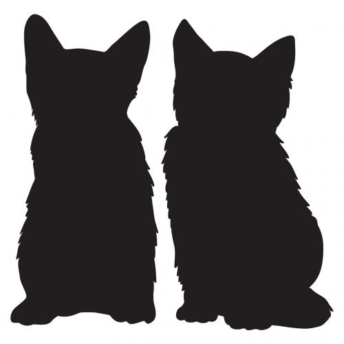 会えてよかった