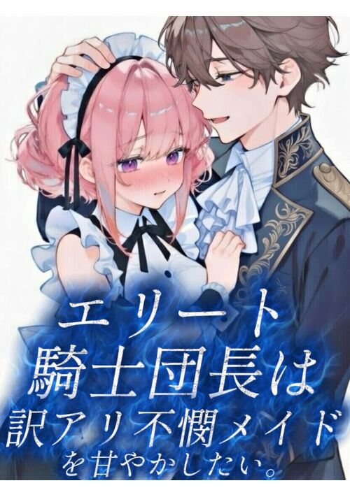 エリート騎士団長は訳アリメイドを甘やかしたい。