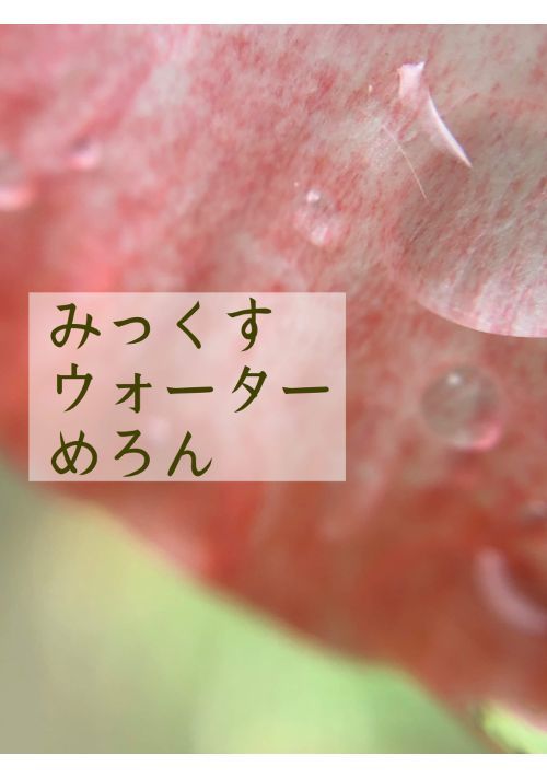 みっくすウォーターめろん