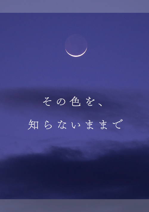『その色を、知らないままで』（はすぬ） 表紙