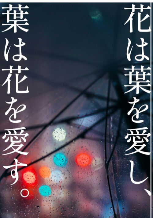 花は葉を愛し、葉は花を愛す。ー恋人は00時00分、敵になりましたー