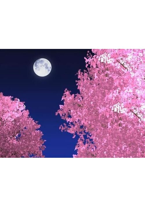 最果ての僕等　【月光浴】