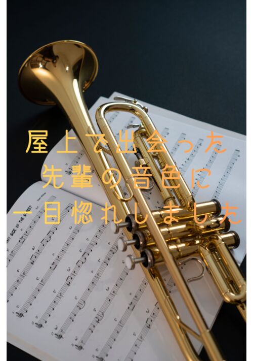 屋上で出会った先輩の音色に一目惚れしました 表紙