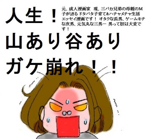 人生 山あり谷ありガケ崩れ 一般女性向けweb漫画 無料の漫画投稿サイトのアルファポリス