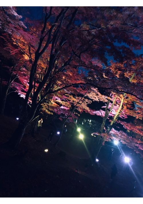 吐きたいだけ