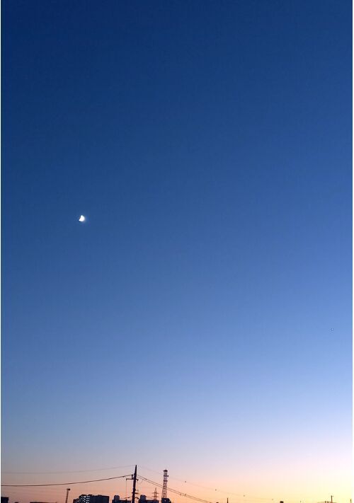 恋愛 切ない恋小説一覧 無料の小説投稿サイトのアルファポリス