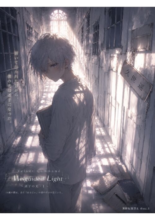 【Velvet Command】〜Misguided Light〜迷子の光・Ⅰ