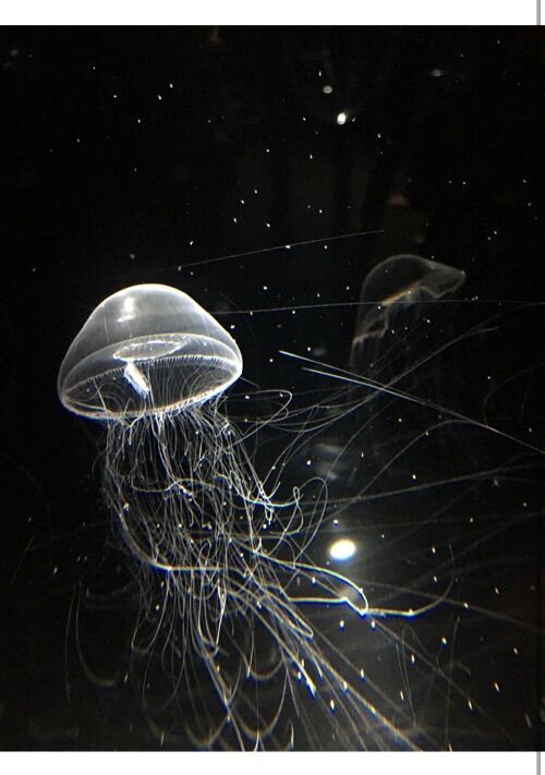 創作BL短編置き場