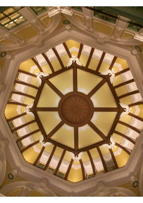 愛され「男の娘」王子のブルーな嫁入り物語。