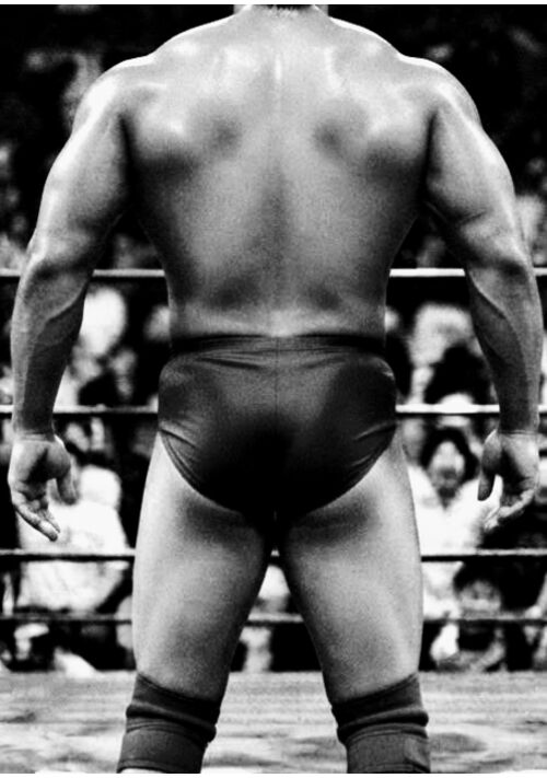 慶道大学プロレス部主将・長門誠一郎
