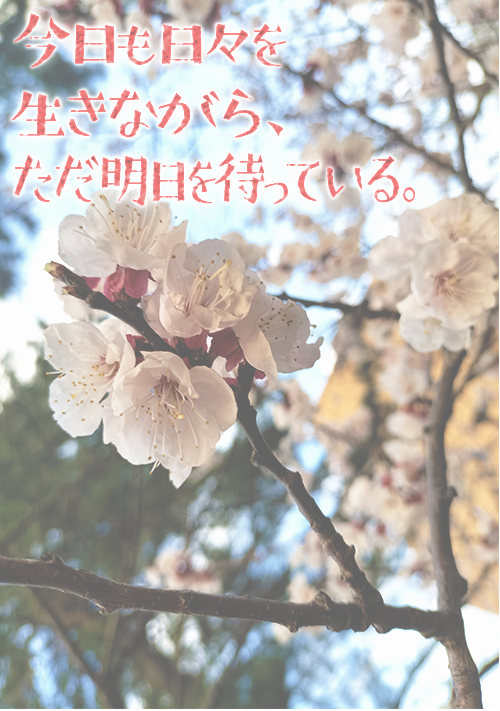『今日も日々を生きながら、ただ明日を待っている。』（夜碧ひな） 表紙