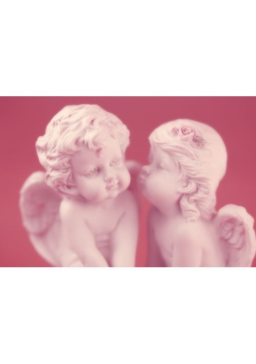 この恋をなんとか成就しなければ！