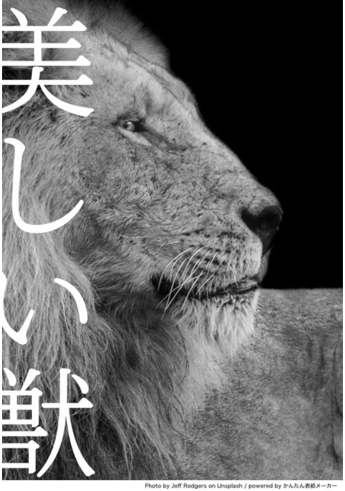 『美しい獣』（しち） 表紙