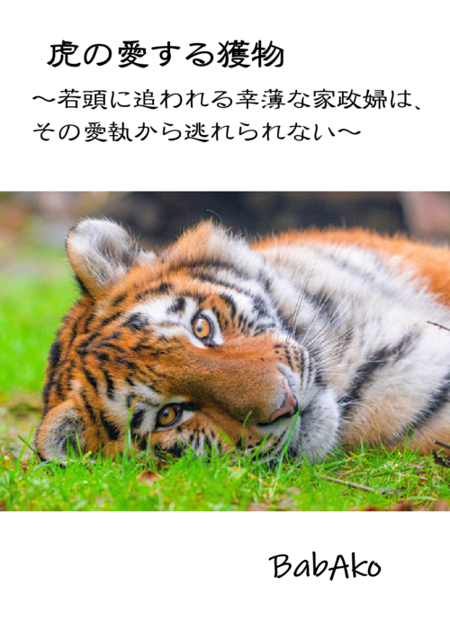 虎の愛する獲物〜若頭に追われる幸薄な家政婦は、その愛執から逃れられない〜
