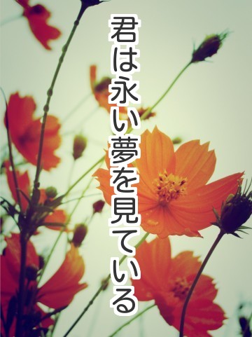 君は永い夢を見ている