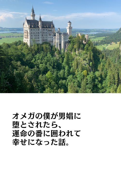【本編完結】オメガの僕が男娼に堕とされたら、運命の番に囲われて幸せになった話。