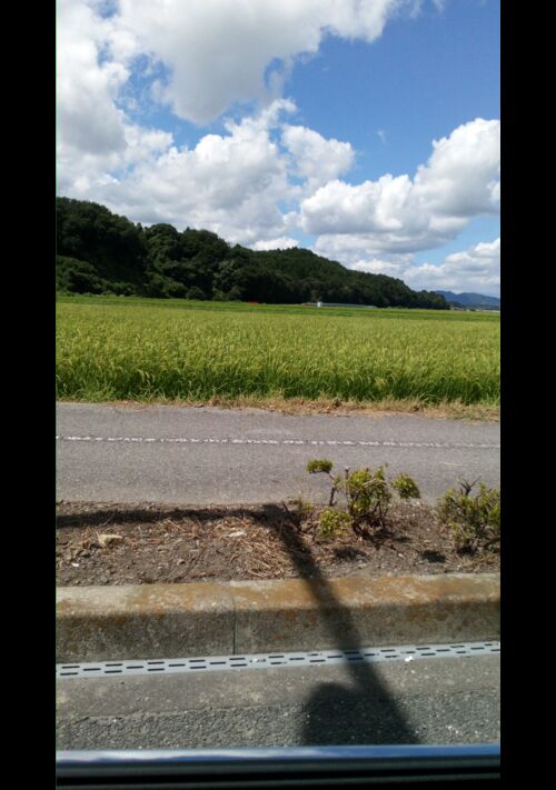 『憑かれ店長』（夏の月　すいか） 表紙
