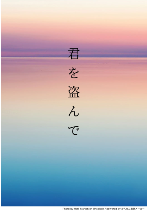 『君を盗んで』（しち） 表紙