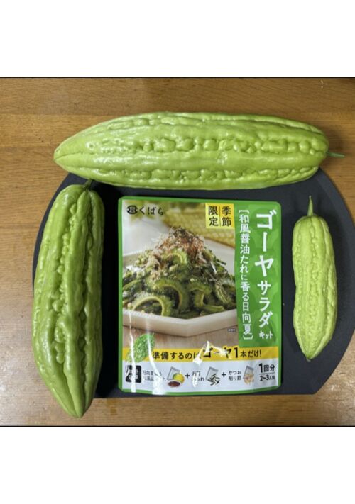 『サミットのゴーヤサラダの素は最強なのか』（まいゆき） 表紙