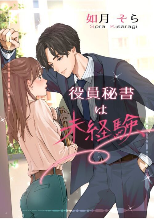 役員秘書は未経験のその後 恋愛小説 小説投稿サイトのアルファポリス