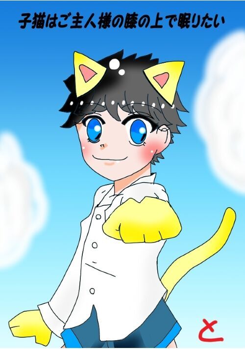 子猫はご主人様の膝の上で眠りたい