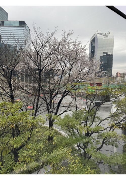 断罪回避でスローライフ希望〜平凡令息は意外とお人好し〜