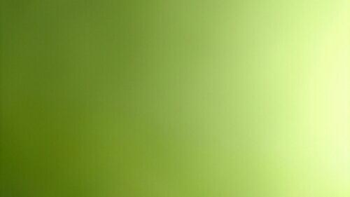 もふねこ少年と人間の青年の日常