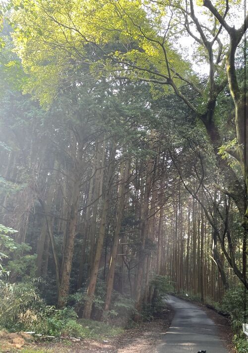 私の全てあなたのもの