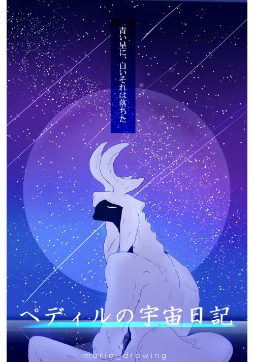 ぺディルの宇宙日記【R18】