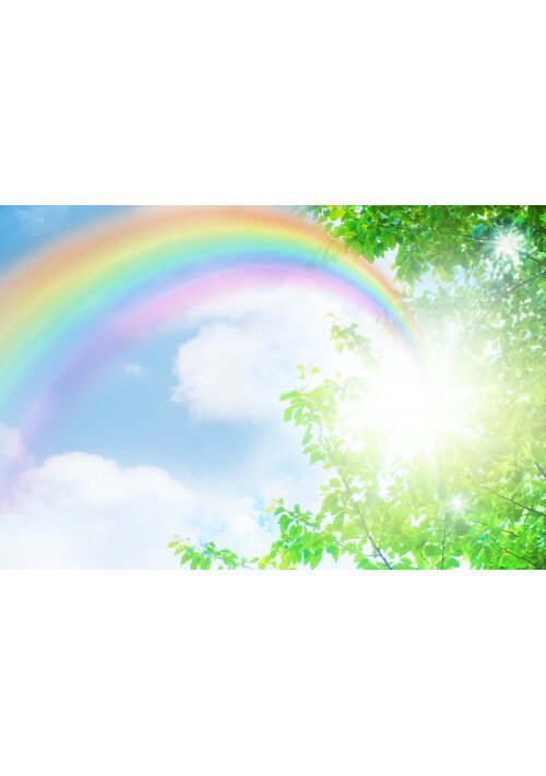 エキゾチックアニマル【本編完結】