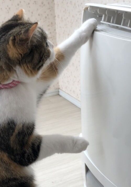 『その機械が変えるものは』（転生新語） 表紙