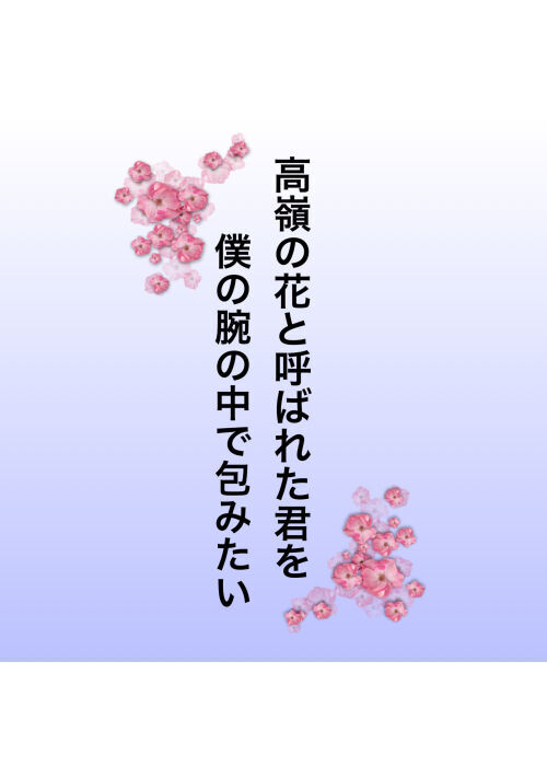 高嶺の花と呼ばれた君を僕の腕の中で包みたい