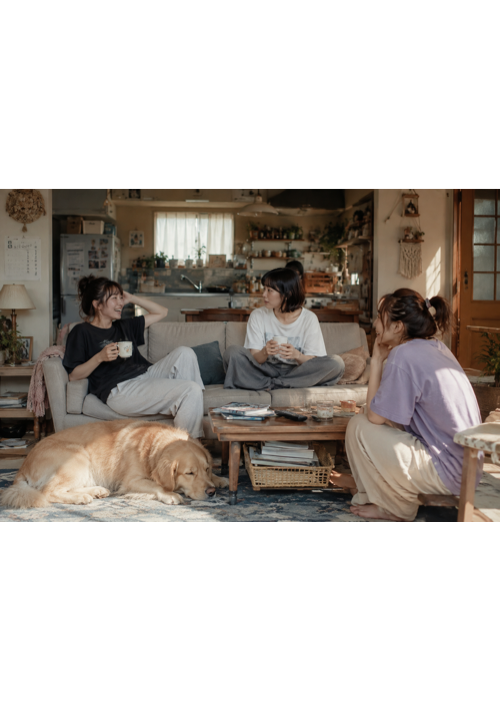 家族じゃない私たちと1匹の柴犬
