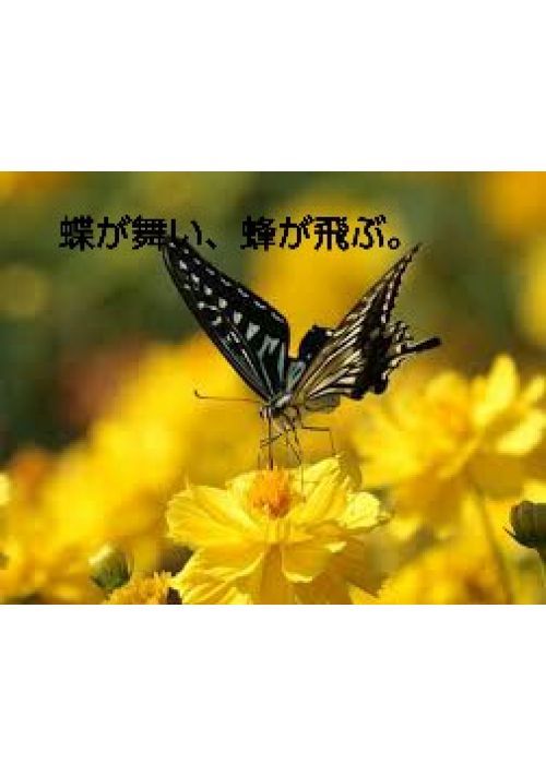 蝶が舞い 蜂が飛ぶ 児童書 童話 小説投稿サイトのアルファポリス