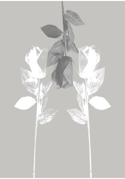 コンドームの中でひっそりと死んでいく無数の精子の事を考えた事ある？