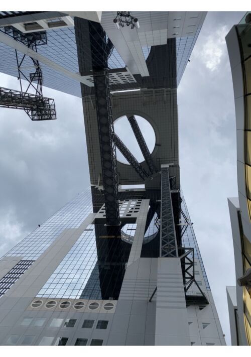 溺愛αの初恋に、痛みを抱えたβは気付かない