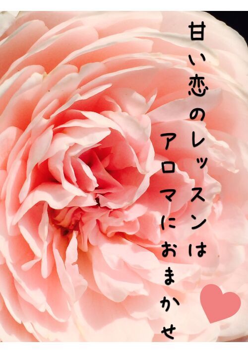 甘い恋のレッスンはアロマにおまかせ 恋愛小説 小説投稿サイトのアルファポリス