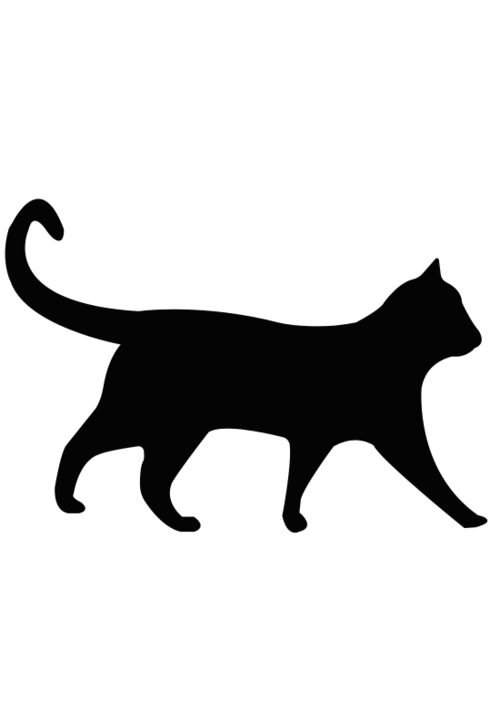 『転生令嬢と黒猫の秘密の計画　〜冷遇されているので偽装結婚から一発逆転狙います！〜』（鳴神楓） 表紙