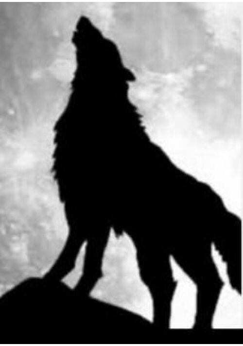 鬼畜オオカミと蜂蜜ハニー